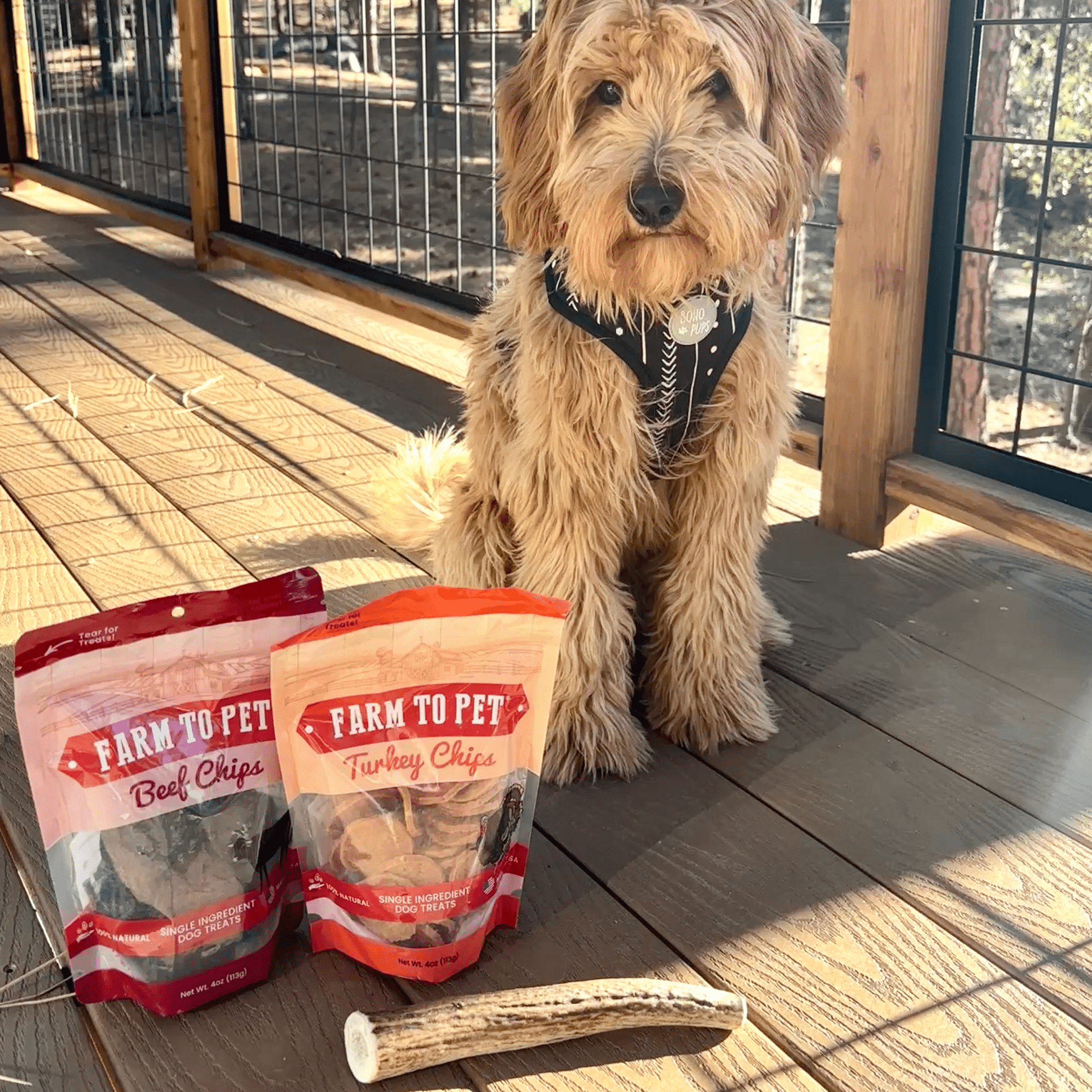Reindeer Antler Dog Chews | Organic Chews for Dogs Antler Dog Chew Farm To Pet