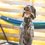 Reindeer Antler Dog Chews | Organic Chews for Dogs Antler Dog Chew Farm To Pet