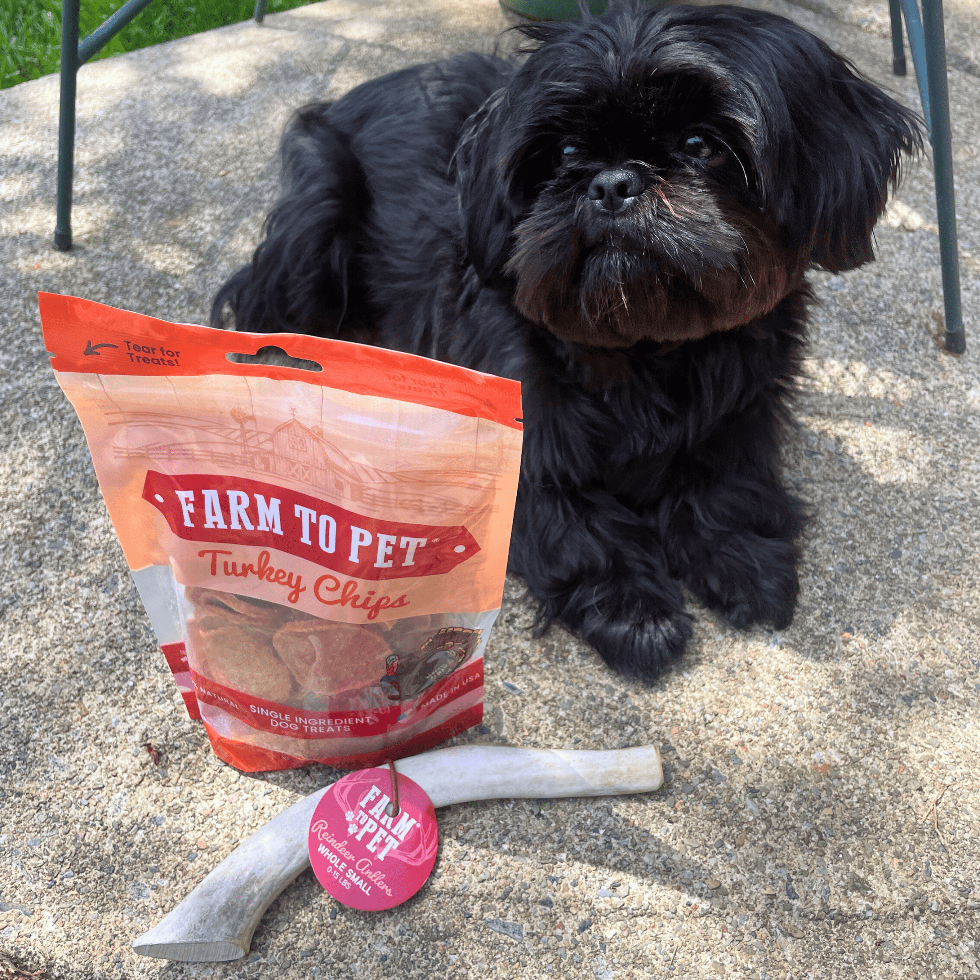 Reindeer Antler Dog Chews | Organic Chews for Dogs Antler Dog Chew Farm To Pet