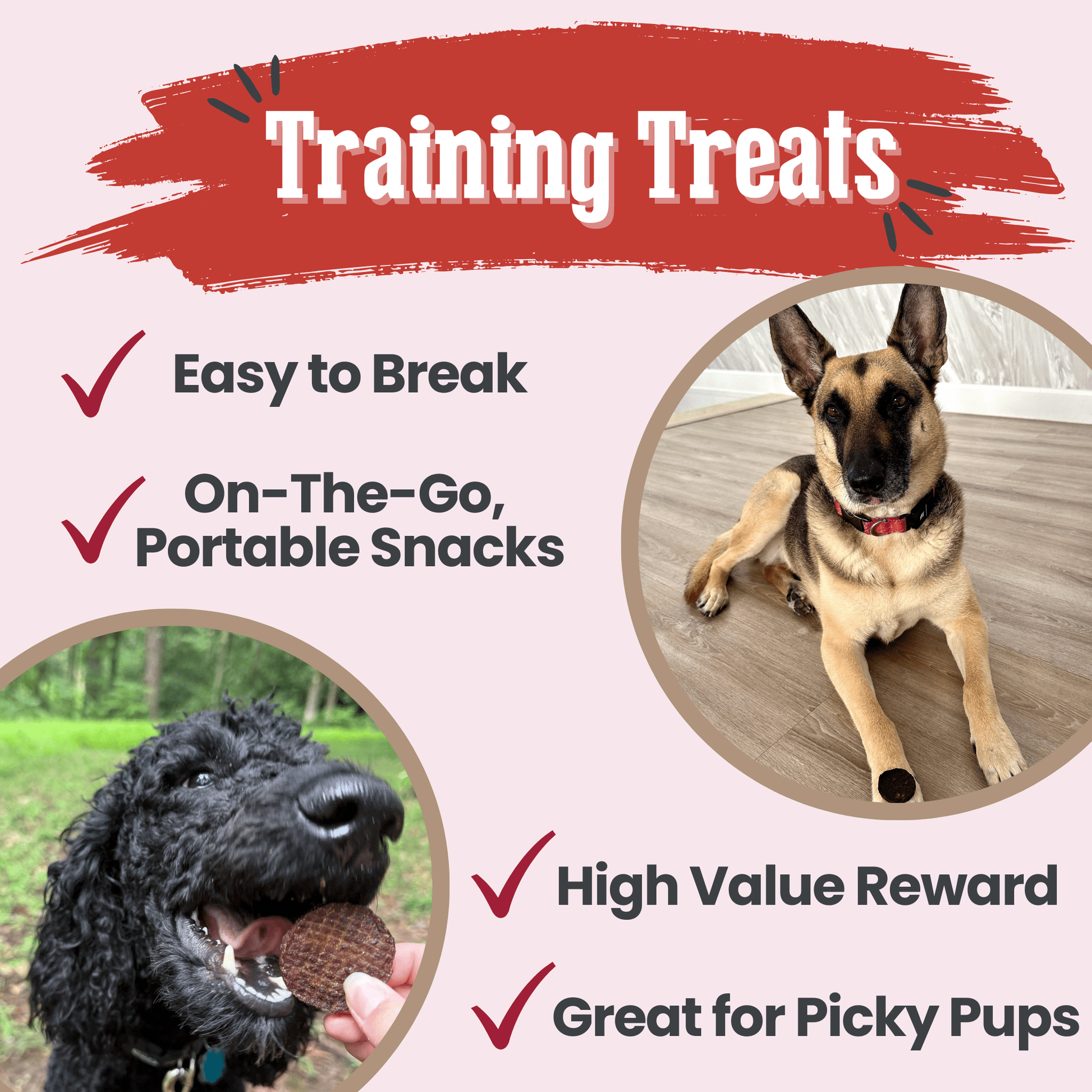 Beef Chips Dog Treats | Single-Ingredient Healthy Treats for Dogs Chip Farm To Pet
