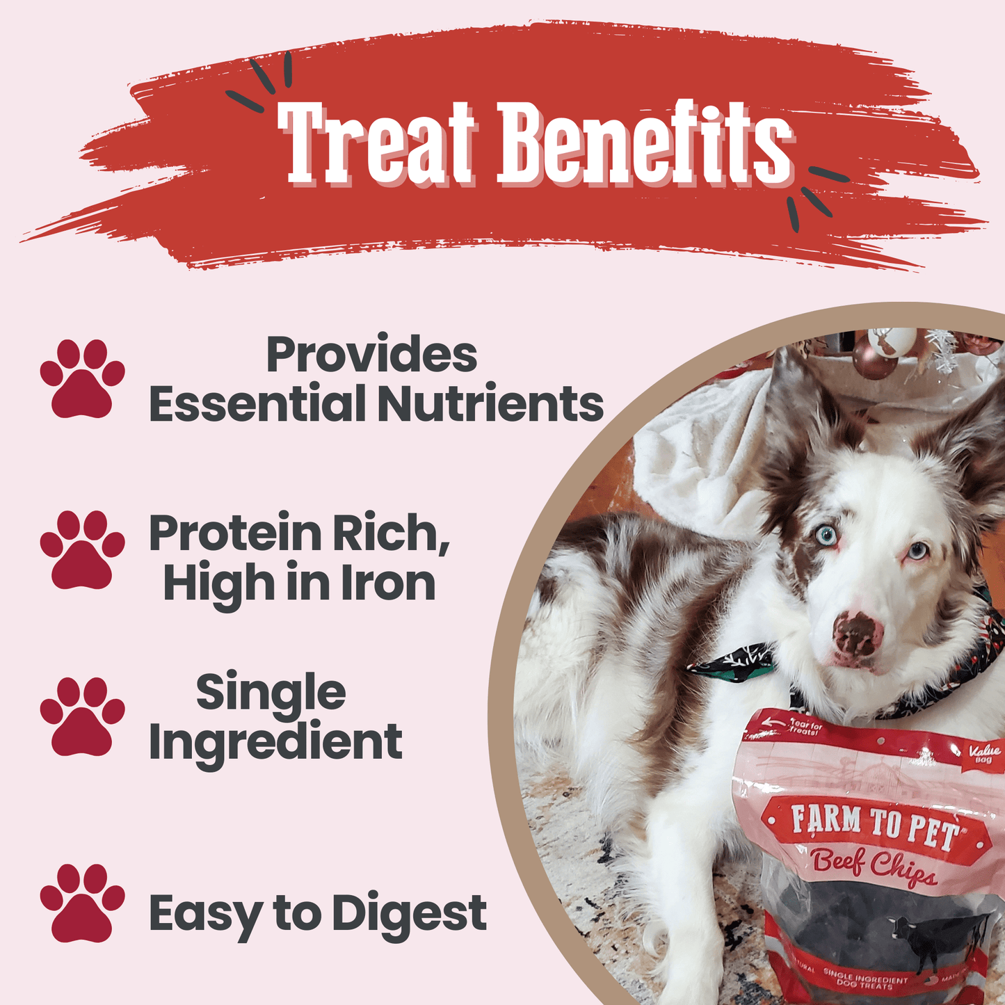 Beef Chips Dog Treats | Single-Ingredient Healthy Treats for Dogs Chip Farm To Pet