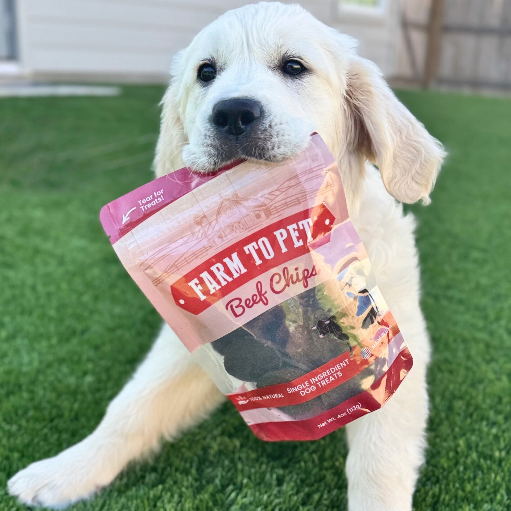 Beef Chips Dog Treats | Single-Ingredient Healthy Treats for Dogs Chip Farm To Pet