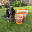 Chicken Chips for Dogs | All-Natural Single-Ingredient Dog Treats Chip Farm To Pet