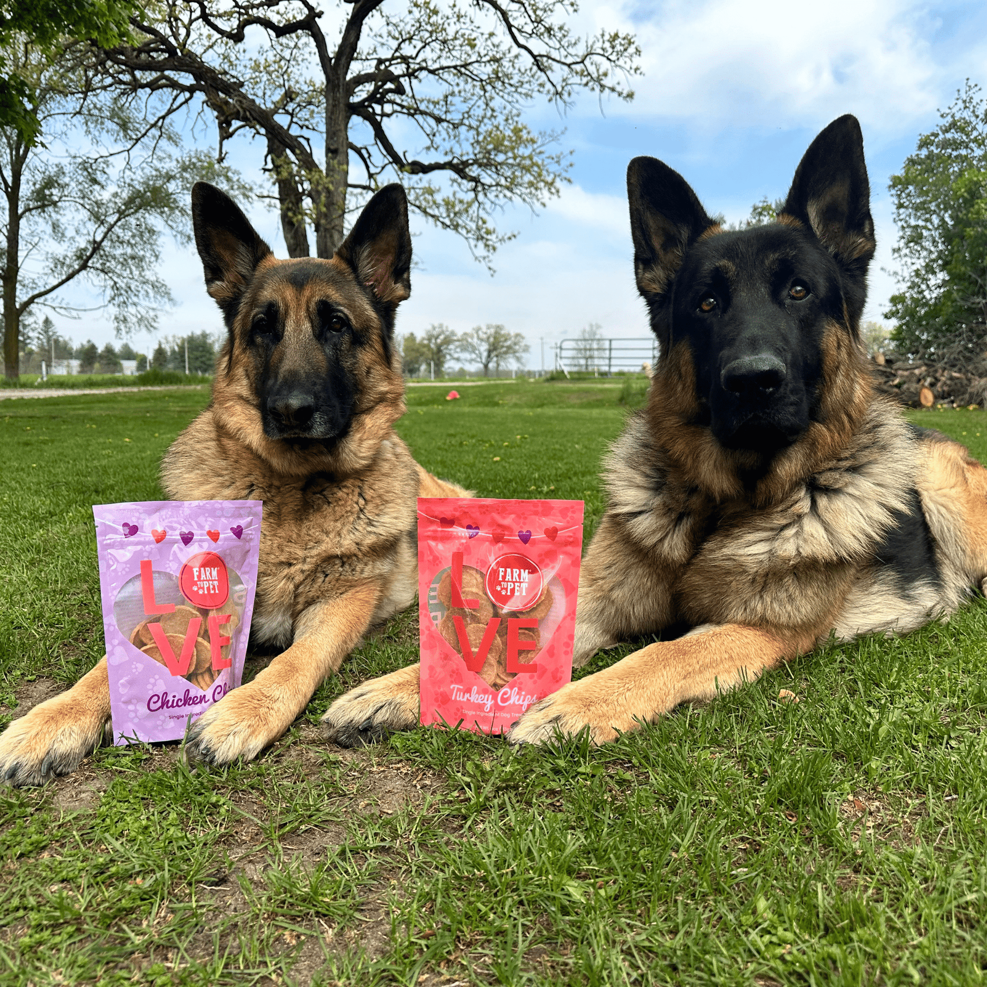 Puppy Love Dog Treat Duo | Poultry Chip Variety Pack Chip Farm To Pet