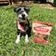 Turkey Chips for Dogs | All-Natural Single-Ingredient Healthy Dog Treats Chip Farm To Pet