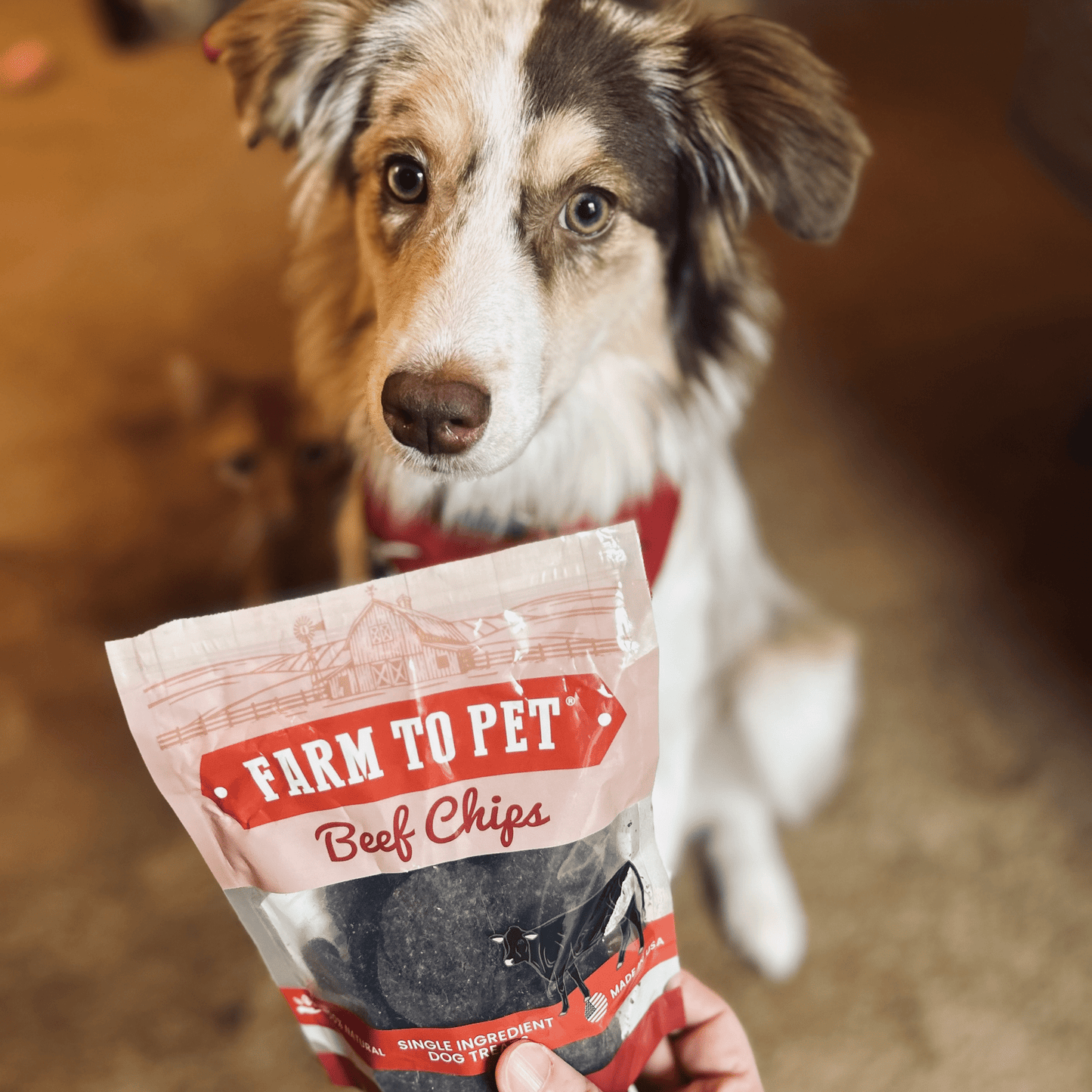 Puppy Packs 'n Snacks Dog Treat Starter Pack | Single-Ingredient Training Treats Bundle Farm To Pet