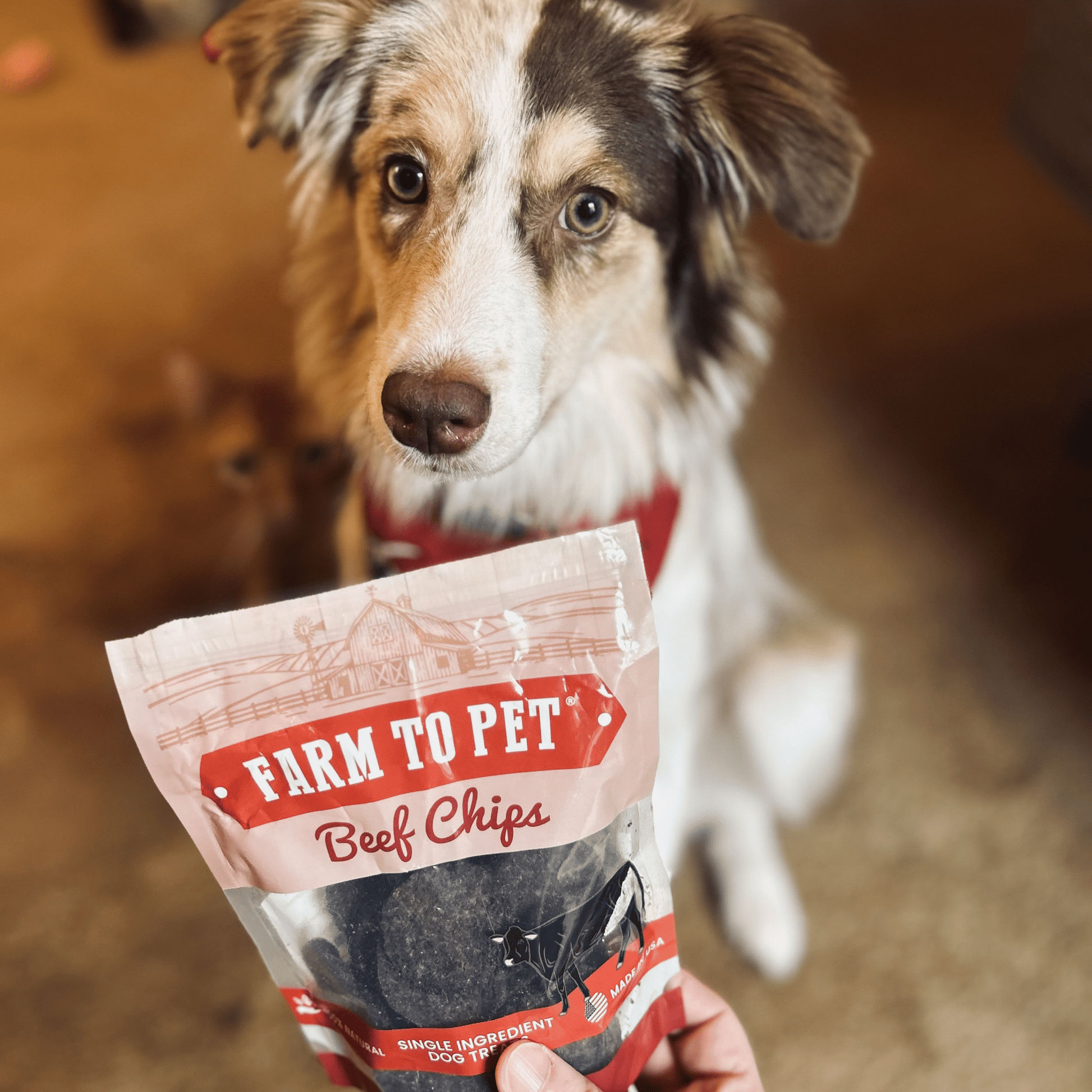 Puppy Packs 'n Snacks Dog Treat Starter Pack | Single-Ingredient Training Treats Bundle Farm To Pet