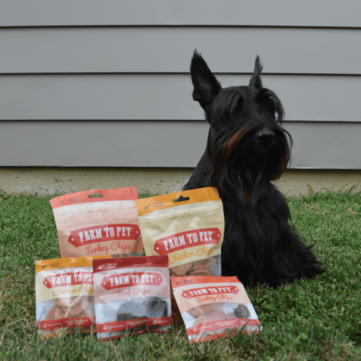 Puppy Packs 'n Snacks Dog Treat Starter Pack | Single-Ingredient Training Treats Bundle Farm To Pet