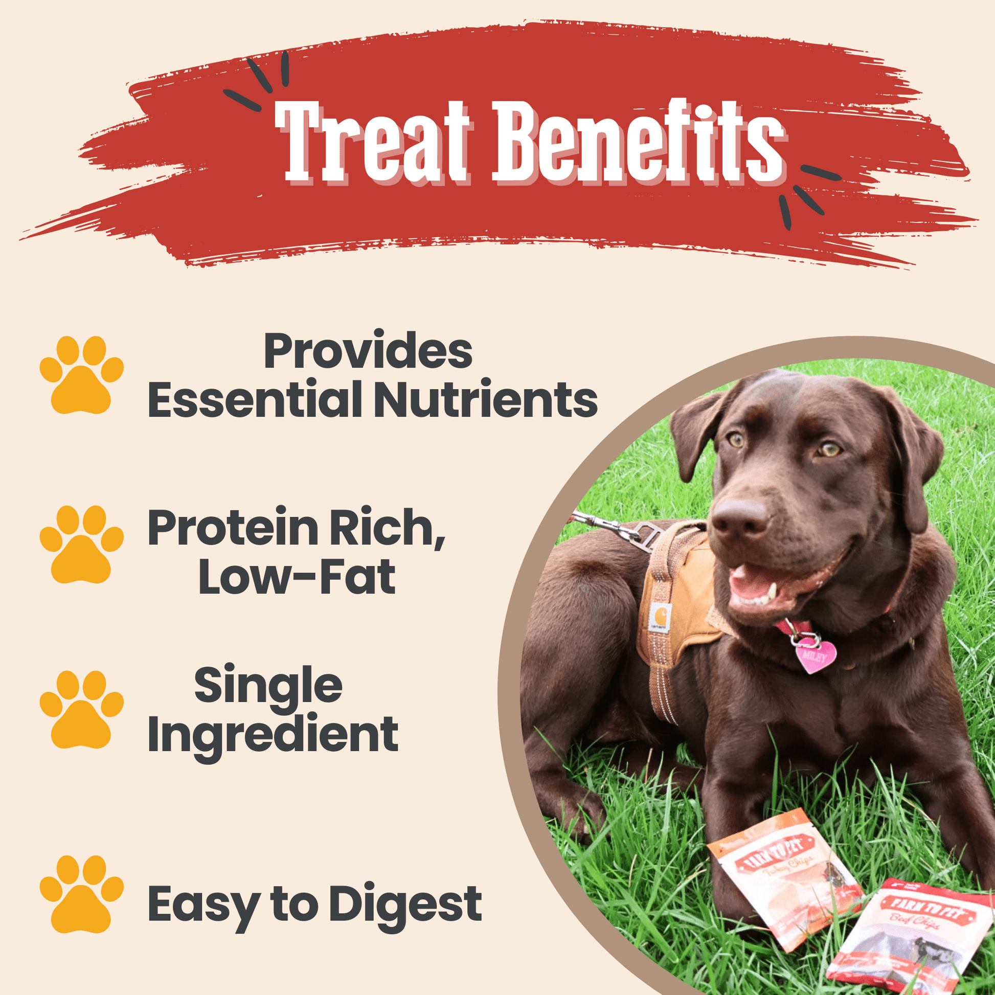 Snack Pack Dog Treat Sampler Snack Pack Farm To Pet