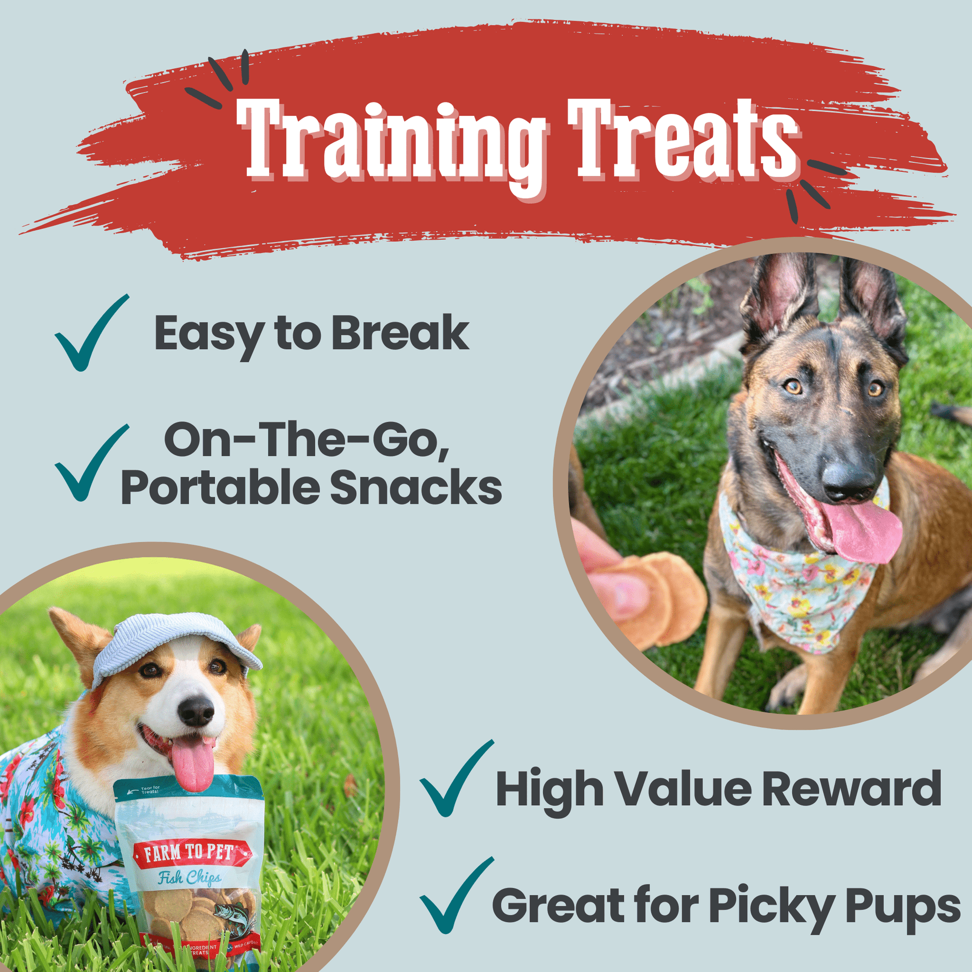 Fish Chips for Dogs | Wild-Caught Fish Dog Treats Chip Farm To Pet