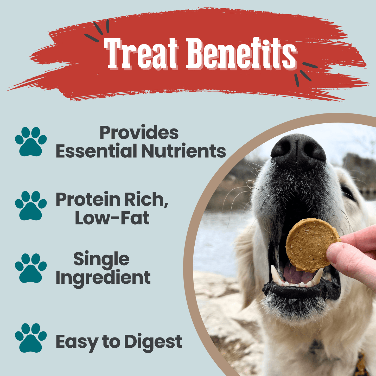 Fish Chips for Dogs | Wild-Caught Fish Dog Treats Chip Farm To Pet