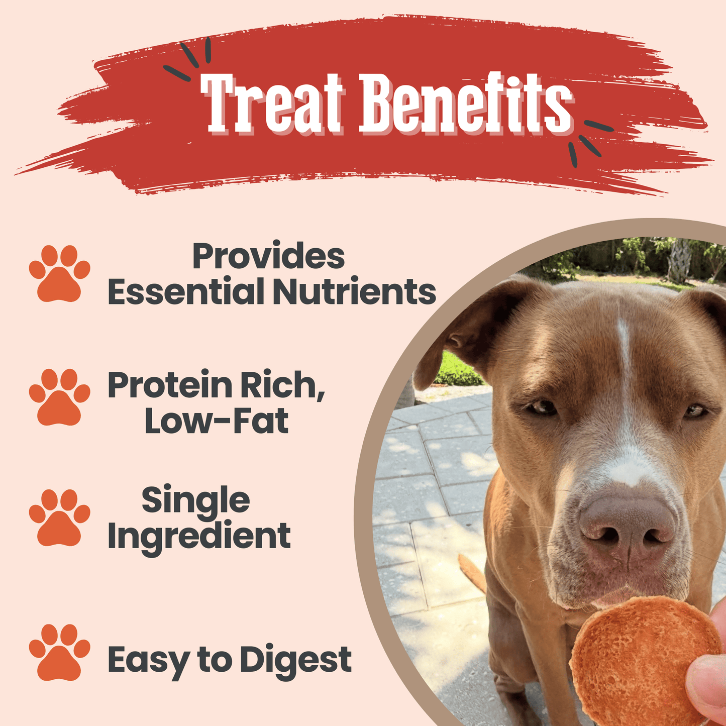 Turkey Chips for Dogs | All-Natural Single-Ingredient Healthy Dog Treats Chip Farm To Pet