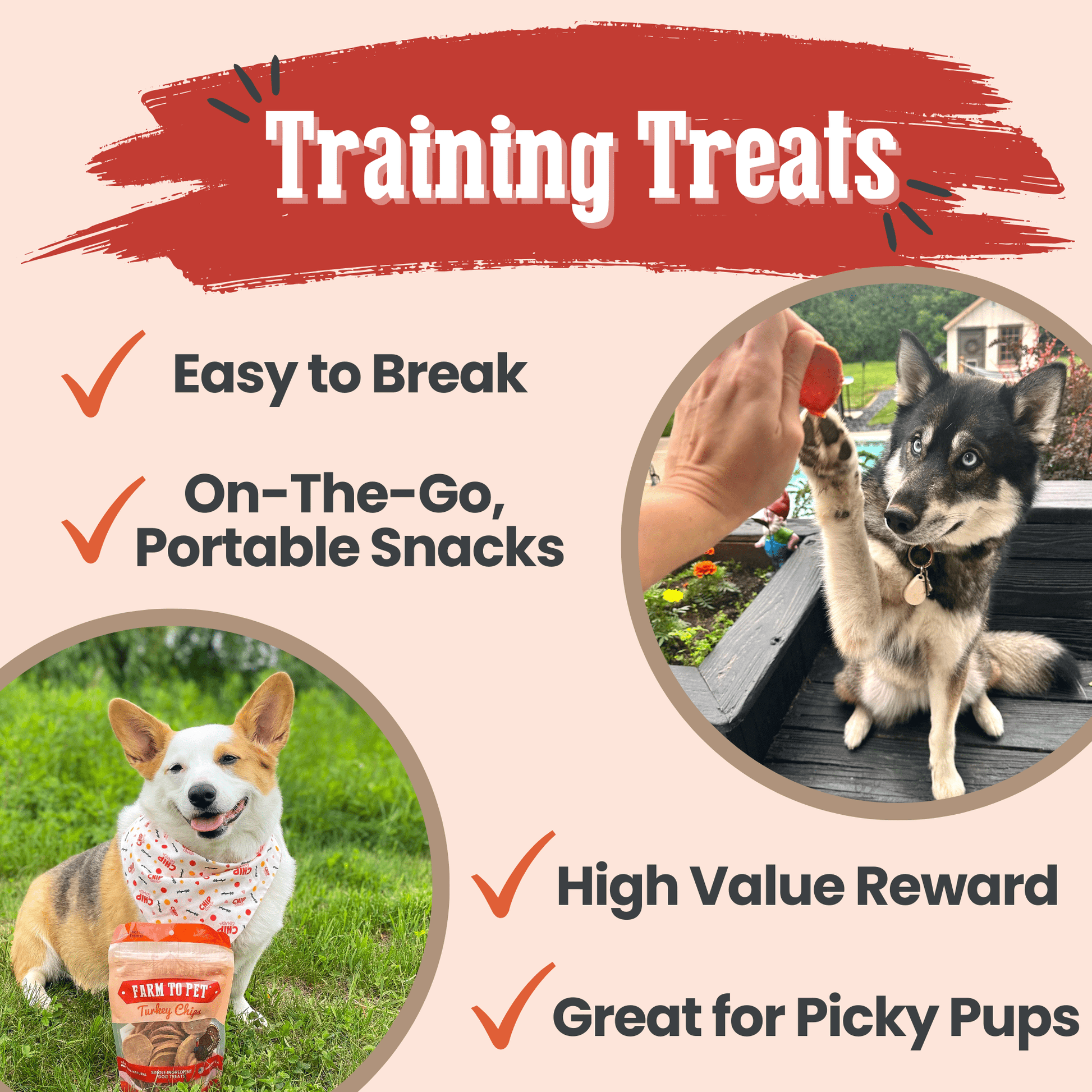 Turkey Chips for Dogs | All-Natural Single-Ingredient Healthy Dog Treats Chip Farm To Pet