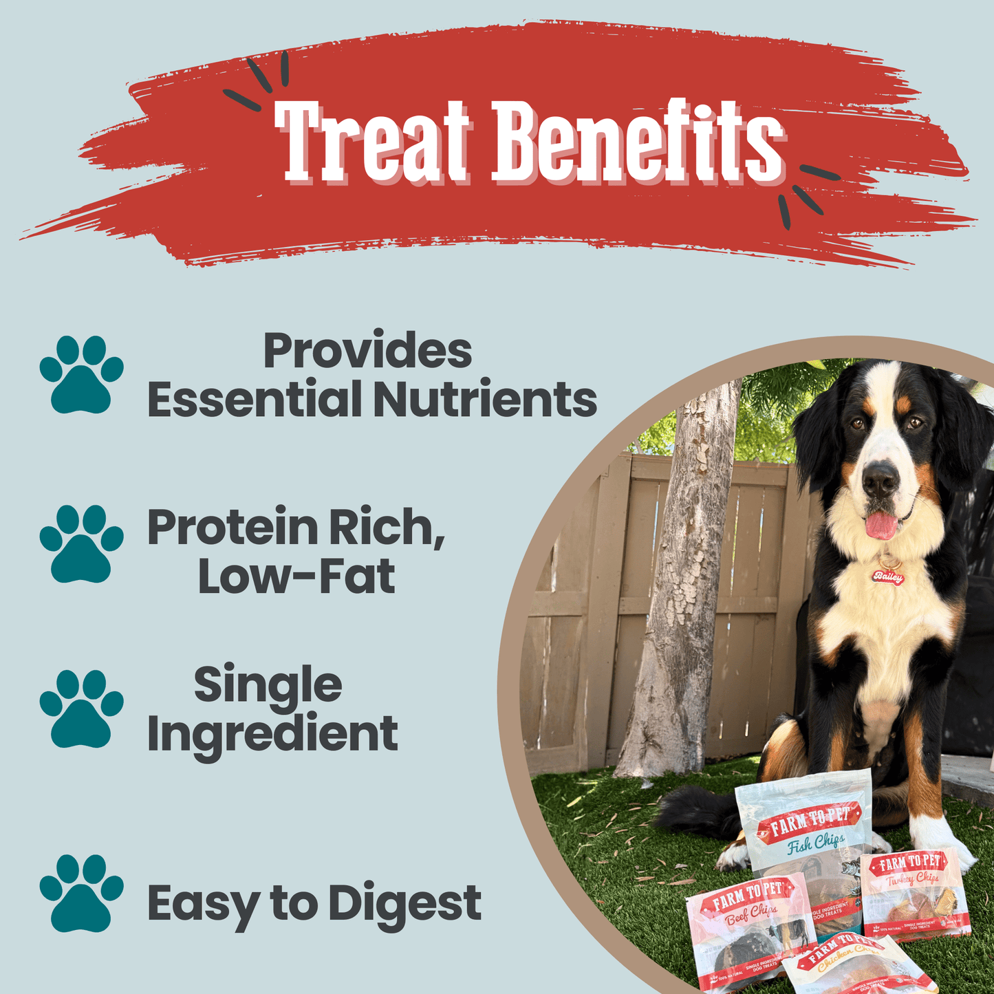 Puppy Packs 'n Snacks Dog Treat Starter Pack | Single-Ingredient Training Treats Bundle Farm To Pet