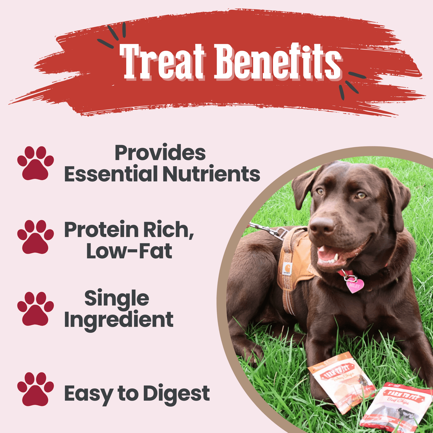 Puppy Packs 'n Snacks Dog Treat Starter Pack | Single-Ingredient Training Treats Bundle Farm To Pet