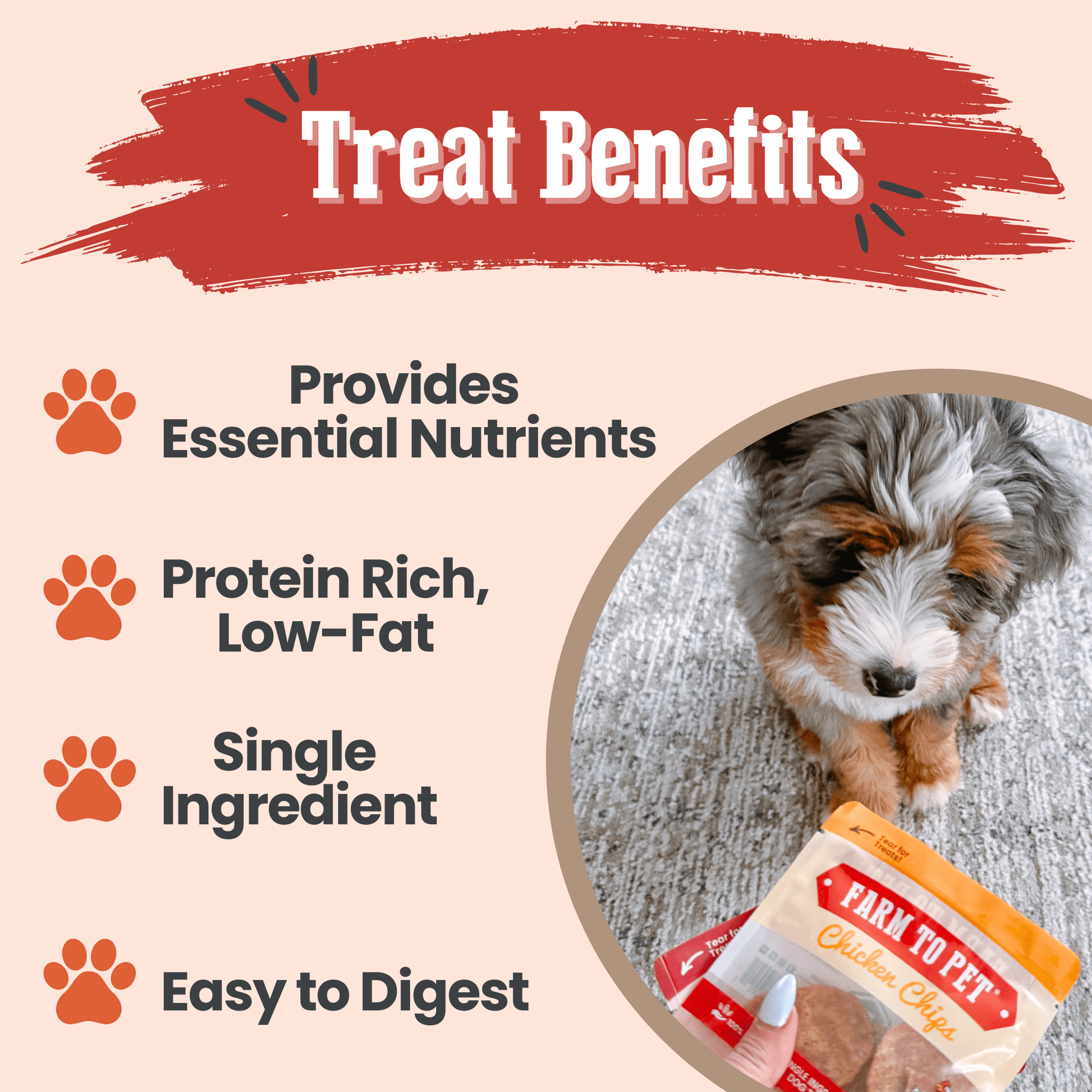 Puppy Packs 'n Snacks Dog Treat Starter Pack | Single-Ingredient Training Treats Bundle Farm To Pet