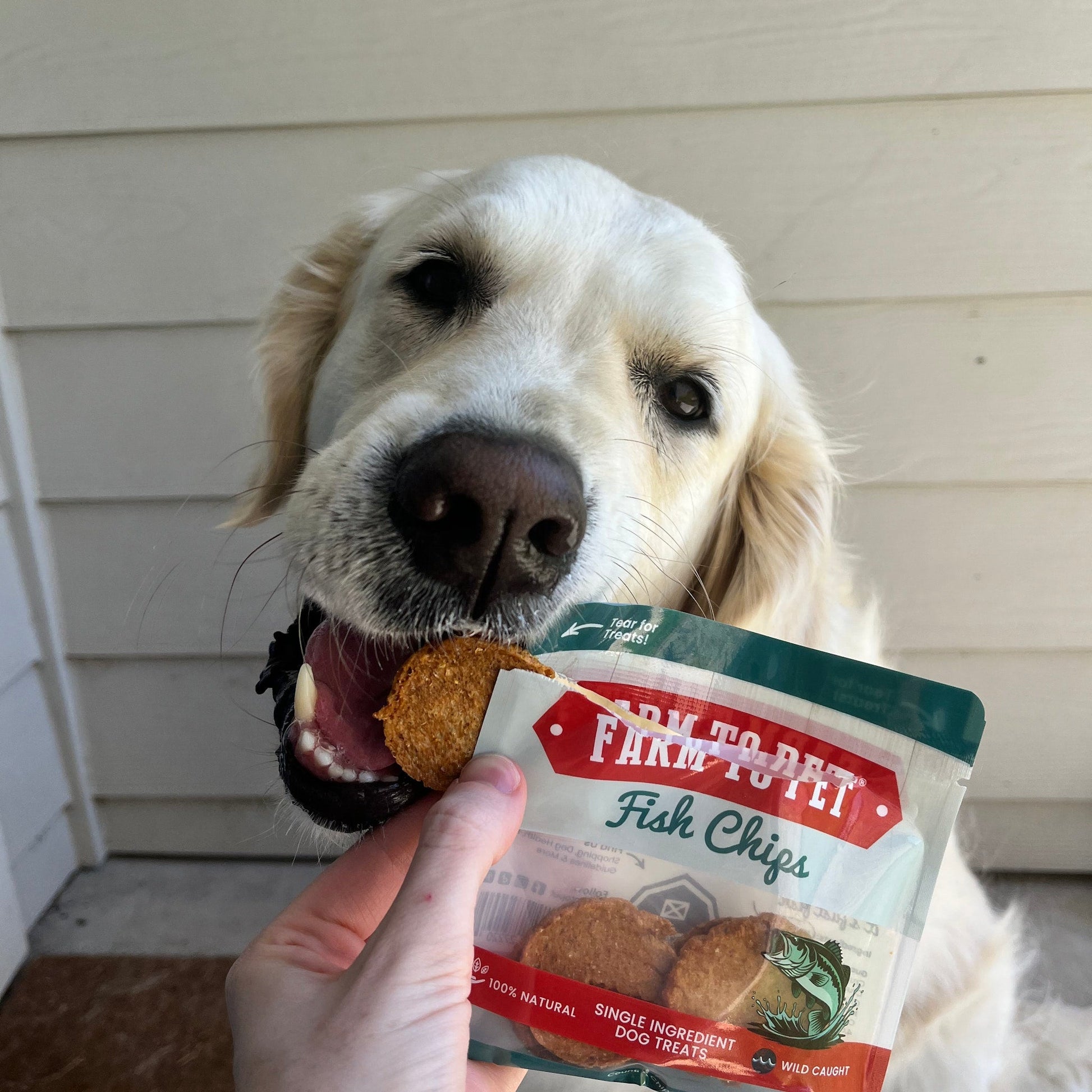 Snack Pack Dog Treat Sampler Snack Pack Farm To Pet