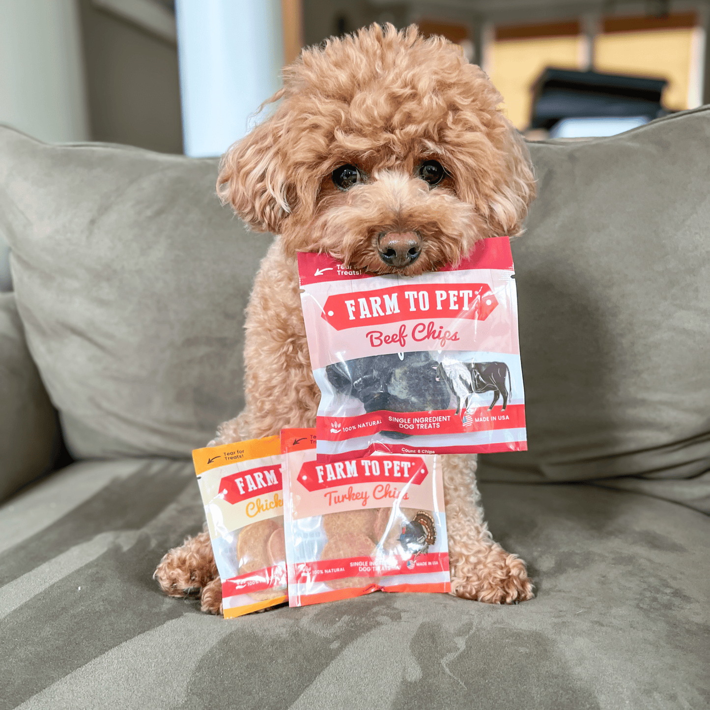 Puppy Packs 'n Snacks Dog Treat Starter Pack | Single-Ingredient Training Treats Bundle Farm To Pet