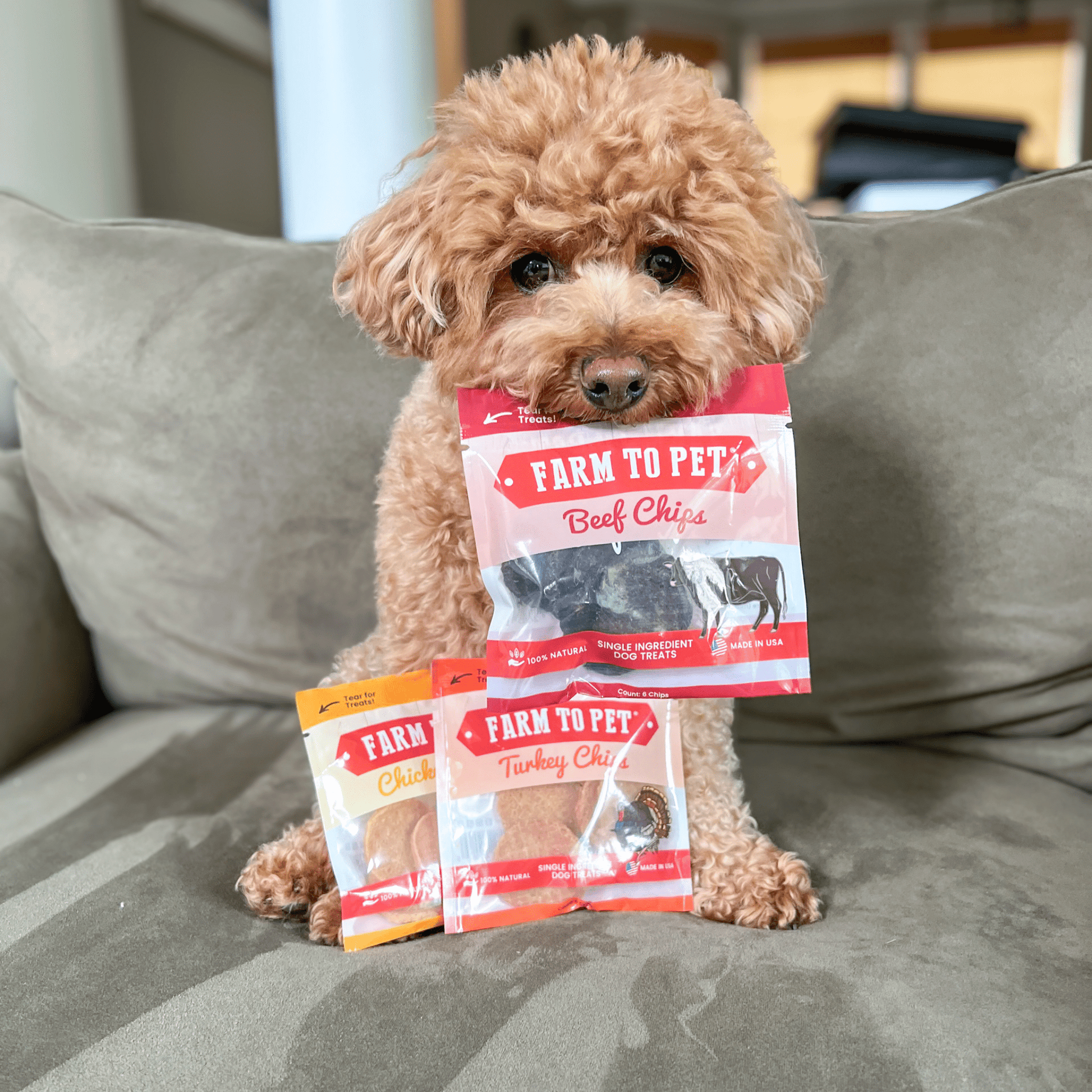 Puppy Packs 'n Snacks Dog Treat Starter Pack | Single-Ingredient Training Treats Bundle Farm To Pet