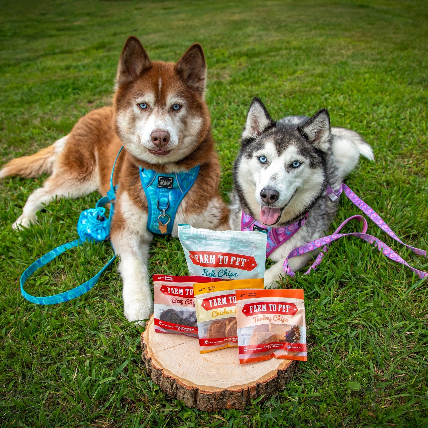Puppy Packs 'n Snacks Dog Treat Starter Pack | Single-Ingredient Training Treats Bundle Farm To Pet