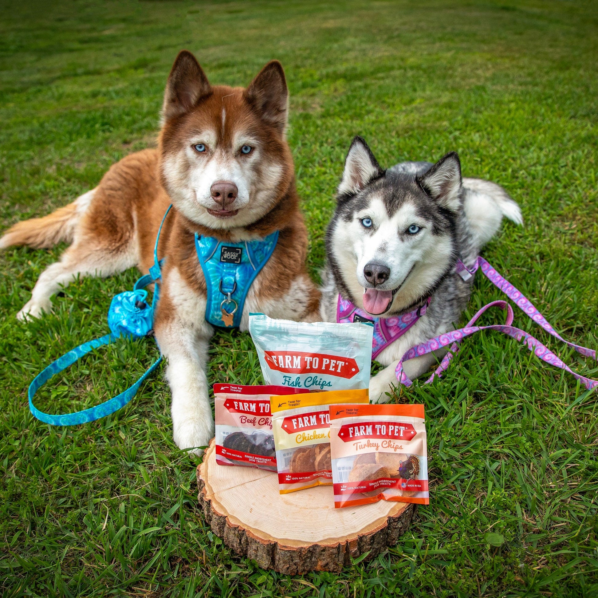 Puppy Packs 'n Snacks Dog Treat Starter Pack | Single-Ingredient Training Treats Bundle Farm To Pet
