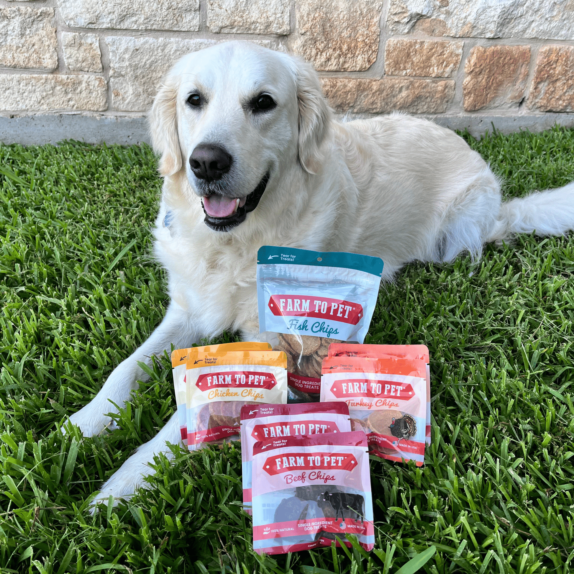Puppy Packs 'n Snacks Dog Treat Starter Pack | Single-Ingredient Training Treats Bundle Farm To Pet