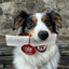 Elk Antler Dog Chews | All-Natural Whole and Split Elk Antler Chews for Dogs Antler Dog Chew Farm To Pet