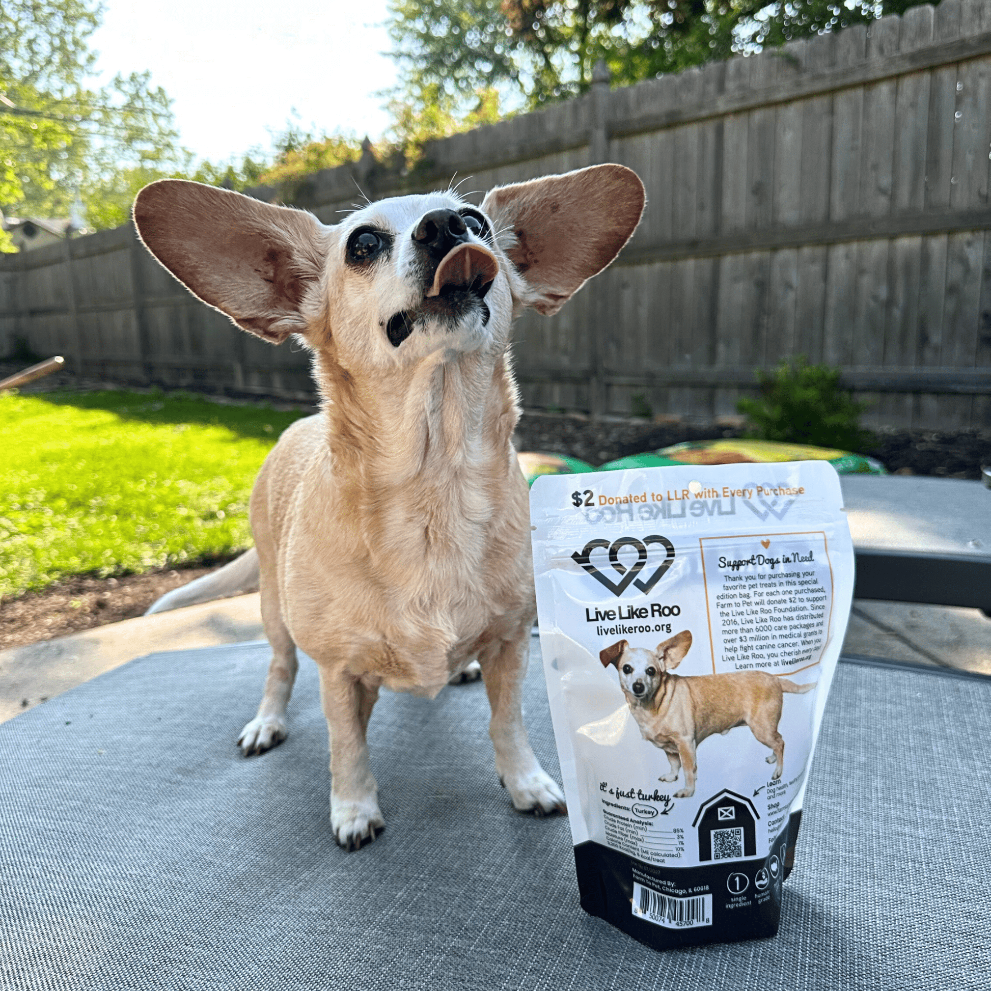 Live Like Roo Turkey Chips for Dogs | Dog Treats That Give Back Chip Farm To Pet