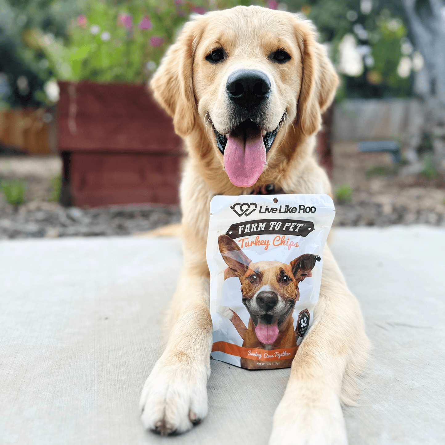 Live Like Roo Turkey Chips for Dogs | Dog Treats That Give Back Chip Farm To Pet