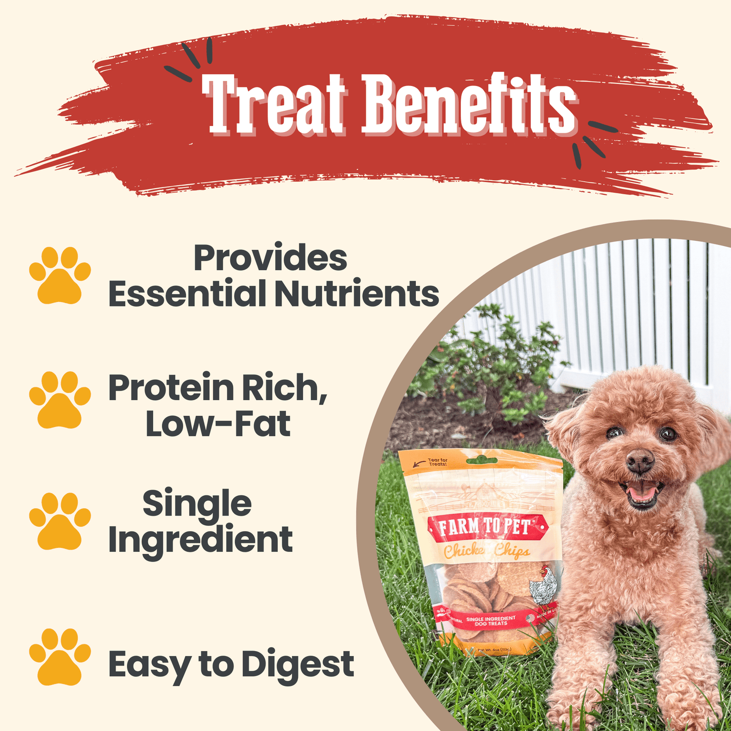 Chicken Chips for Dogs | All-Natural Single-Ingredient Dog Treats Chip Farm To Pet