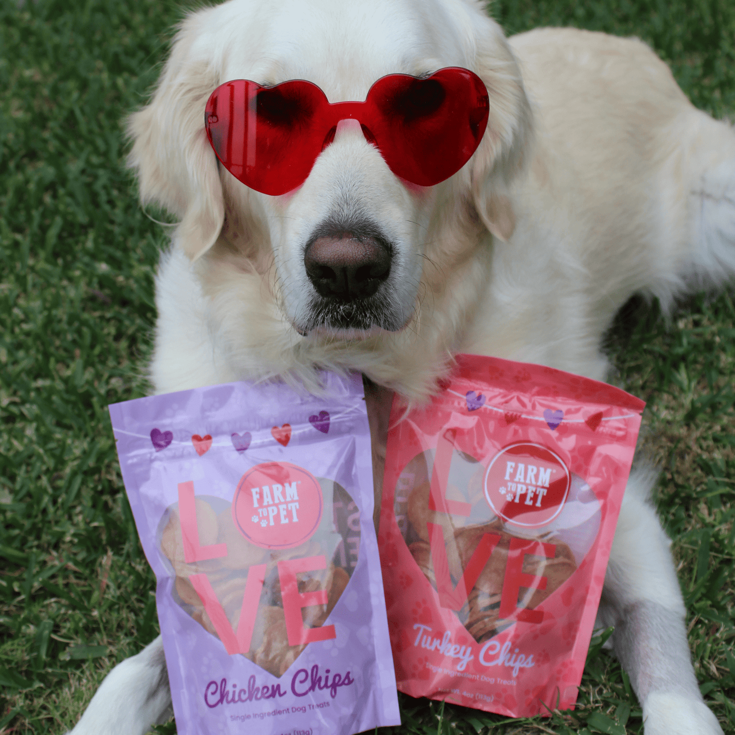 Puppy Love Dog Treat Duo | Poultry Chip Variety Pack Chip Farm To Pet