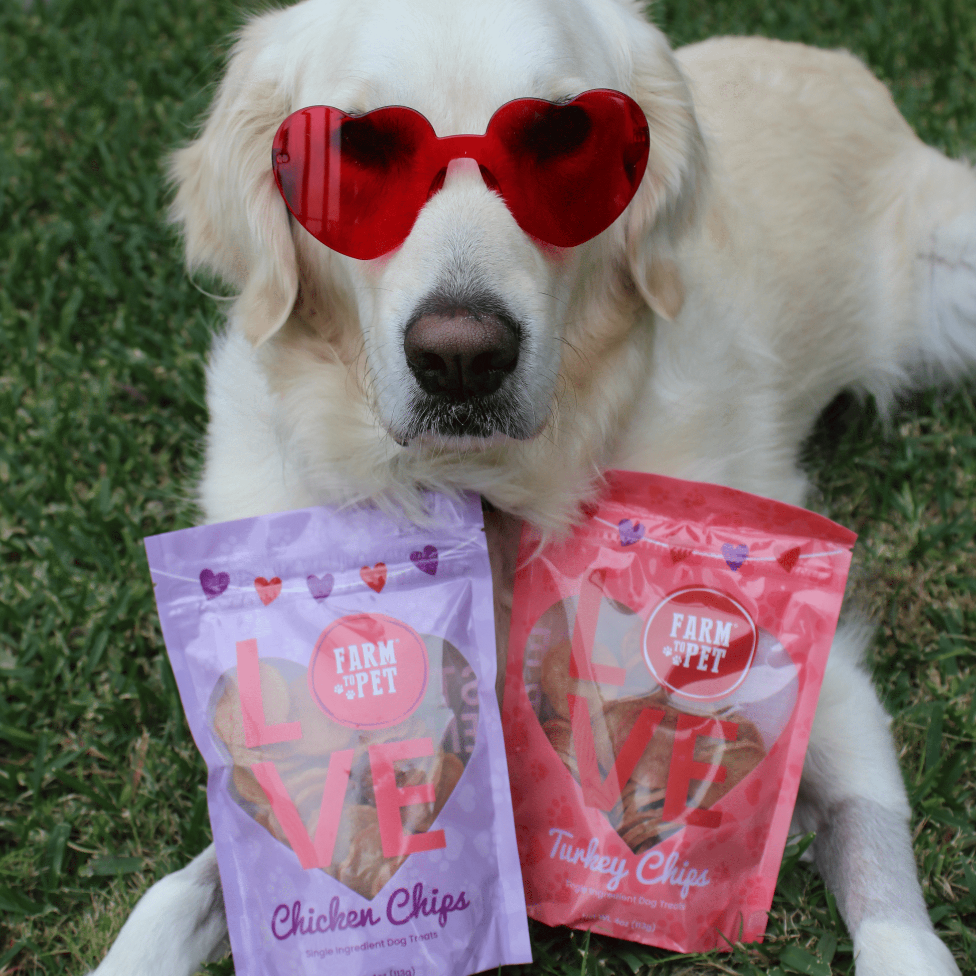 Puppy Love Dog Treat Duo | Poultry Chip Variety Pack Chip Farm To Pet