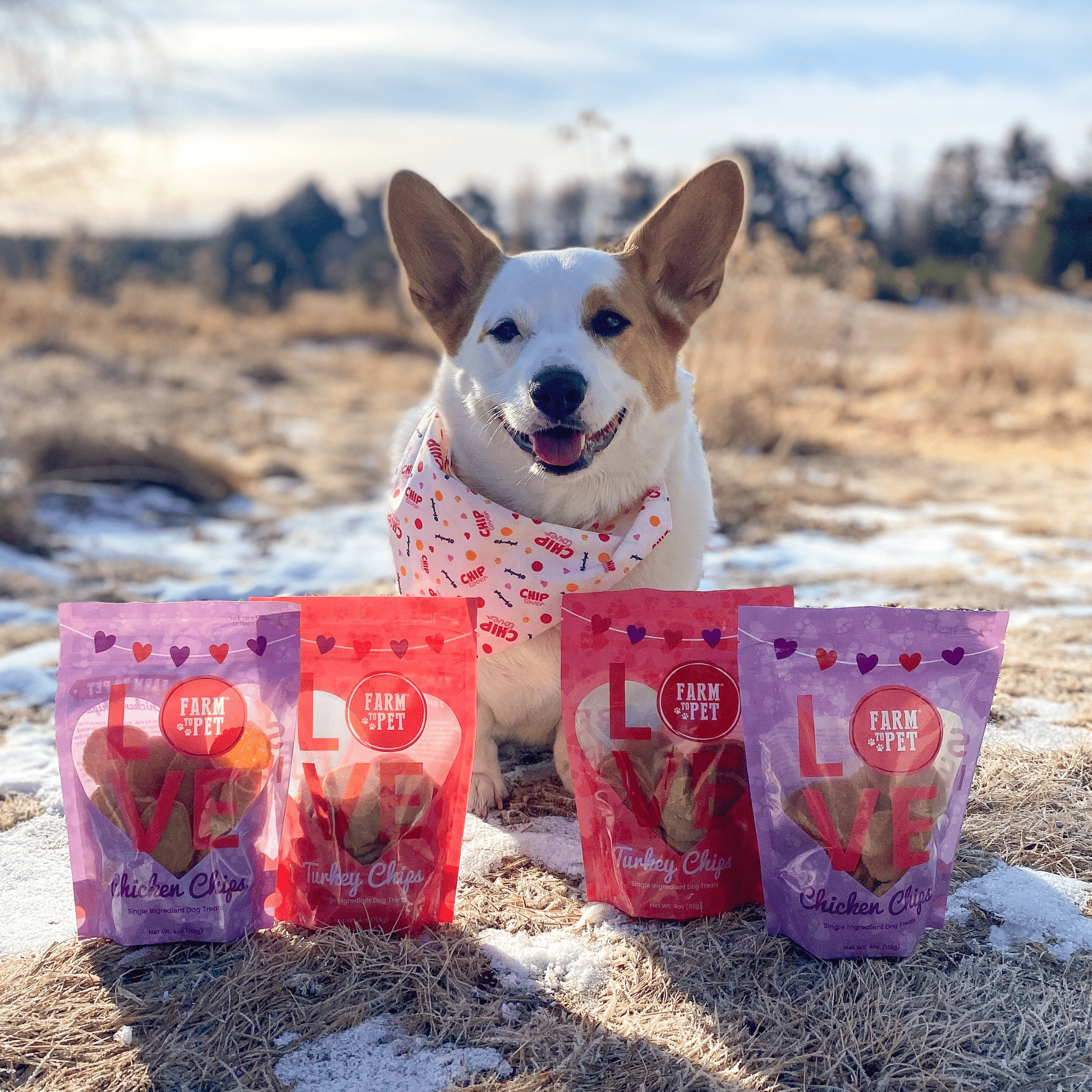 Puppy Love Dog Treat Duo | Poultry Chip Variety Pack Chip Farm To Pet