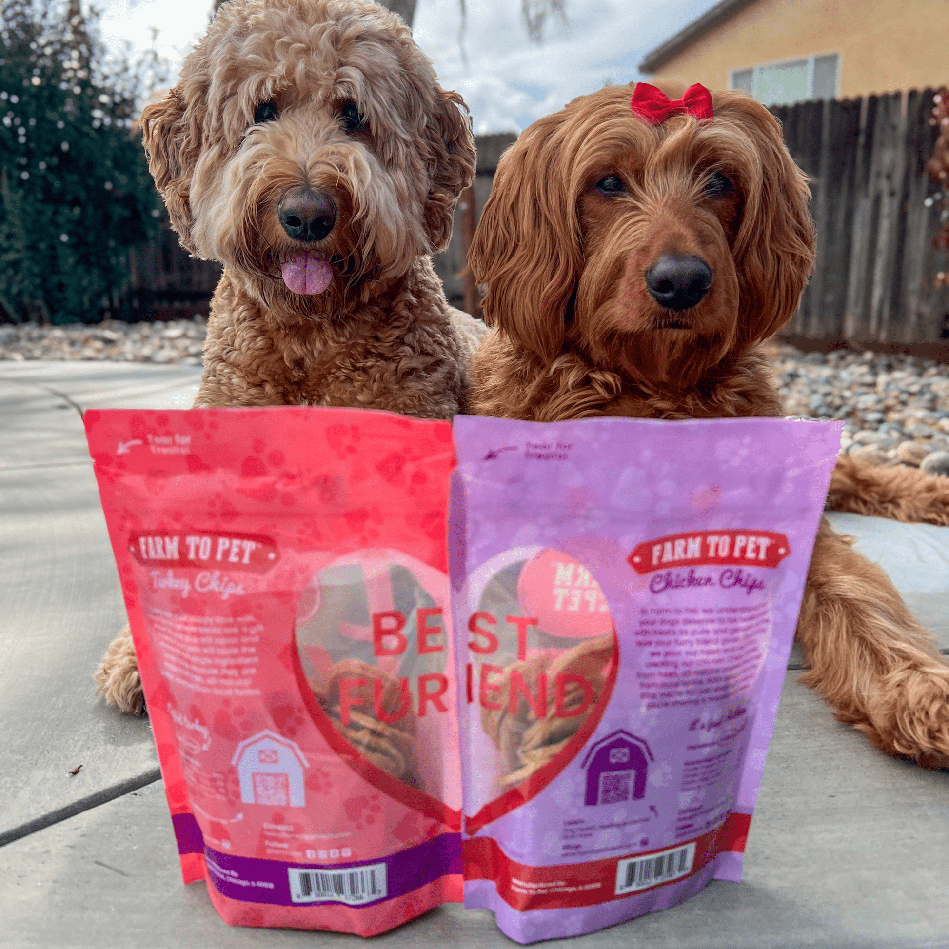 Puppy Love Dog Treat Duo | Poultry Chip Variety Pack Chip Farm To Pet