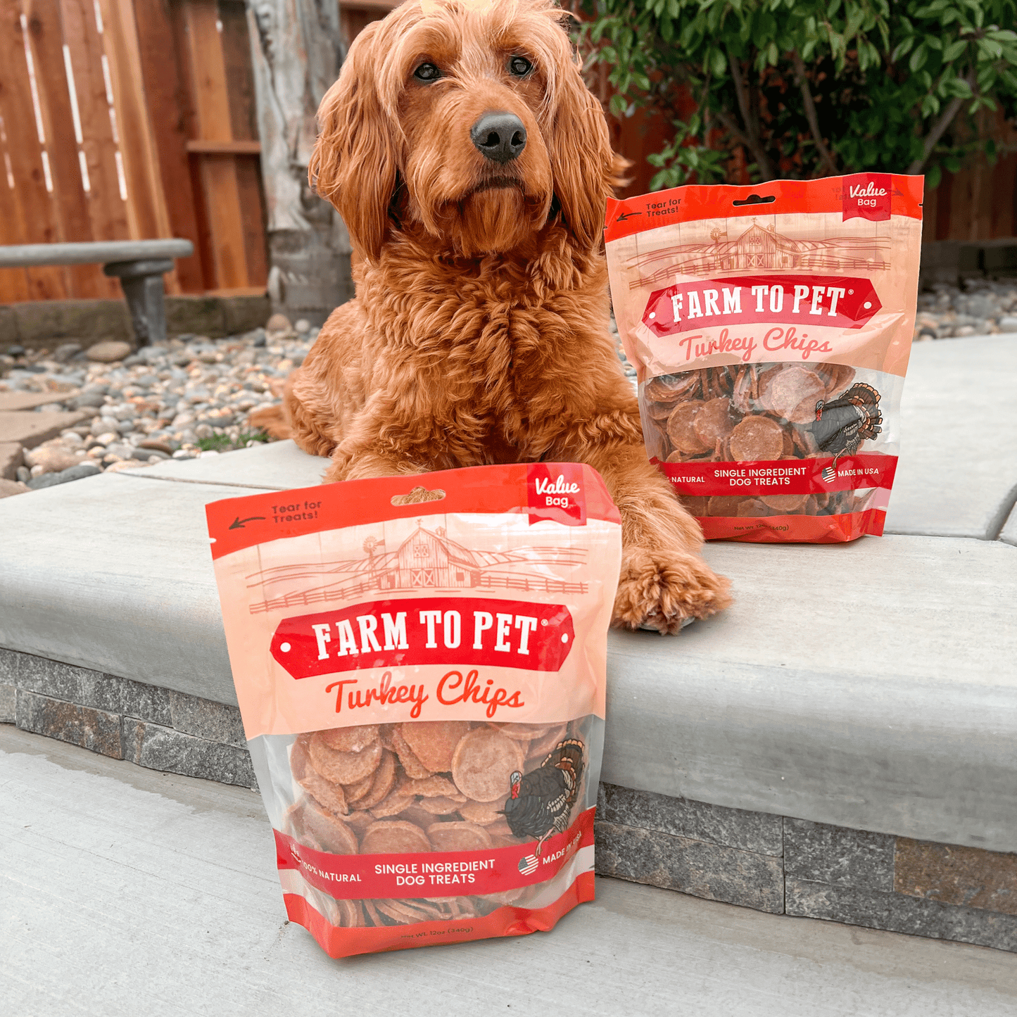 Turkey Chips for Dogs | All-Natural Single-Ingredient Healthy Dog Treats Chip Farm To Pet