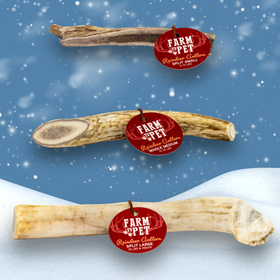 Reindeer Antler Dog Chews | Organic Chews for Dogs Antler Dog Chew Farm To Pet