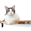 Dog Proof Cat Feeder - Wall-Mounted - Raised Cat Hammock Catastrophic Creations