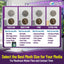Aquatic Experts Aquarium Mesh Bag - Fine Mesh Media Bags - Perfect for Efficient Aquarium Filtration Aquatic Experts