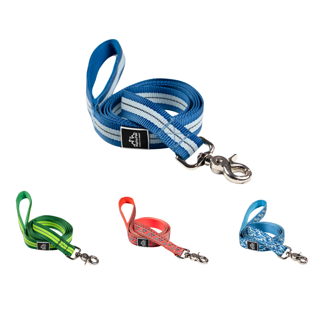 Classic Adventure Flat Dog Leash FLAT LEASHES Alpha Pak