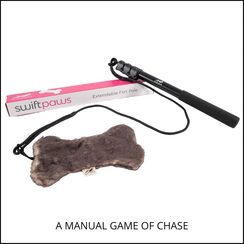 Flirt Pole Enrichment Product SwiftPaws