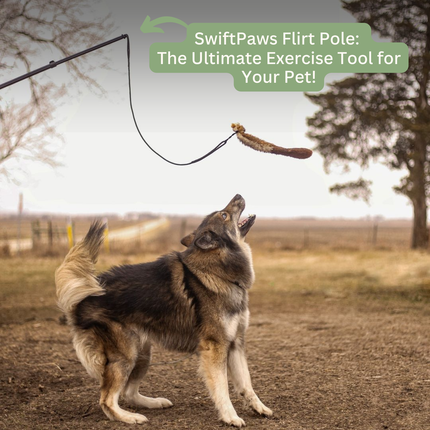 Critter Pack Accessories SwiftPaws