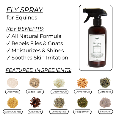 Fly Spray for Horses The Hoof & Paw Co.