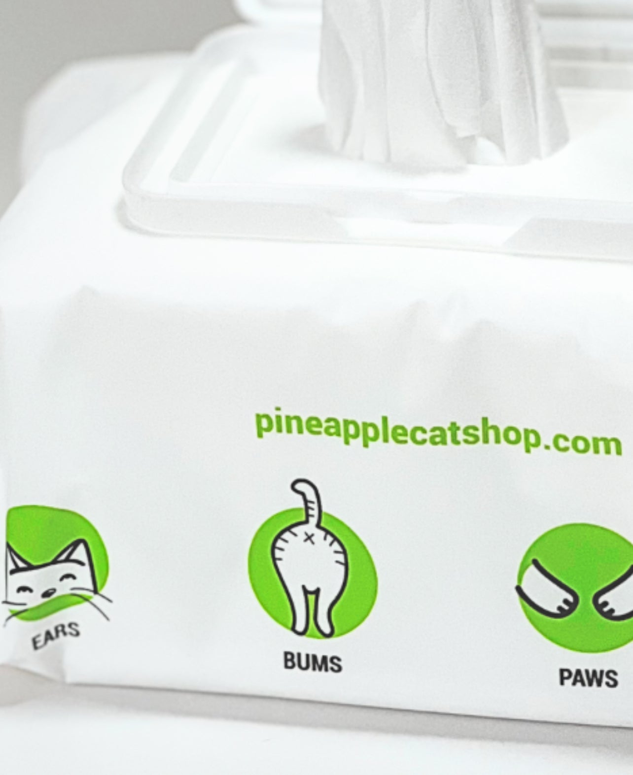 Pineapple Cat Wipes Grooming The Charleston Cat Groomer