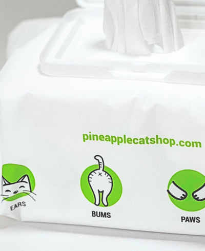 Pineapple Cat Wipes Grooming The Charleston Cat Groomer