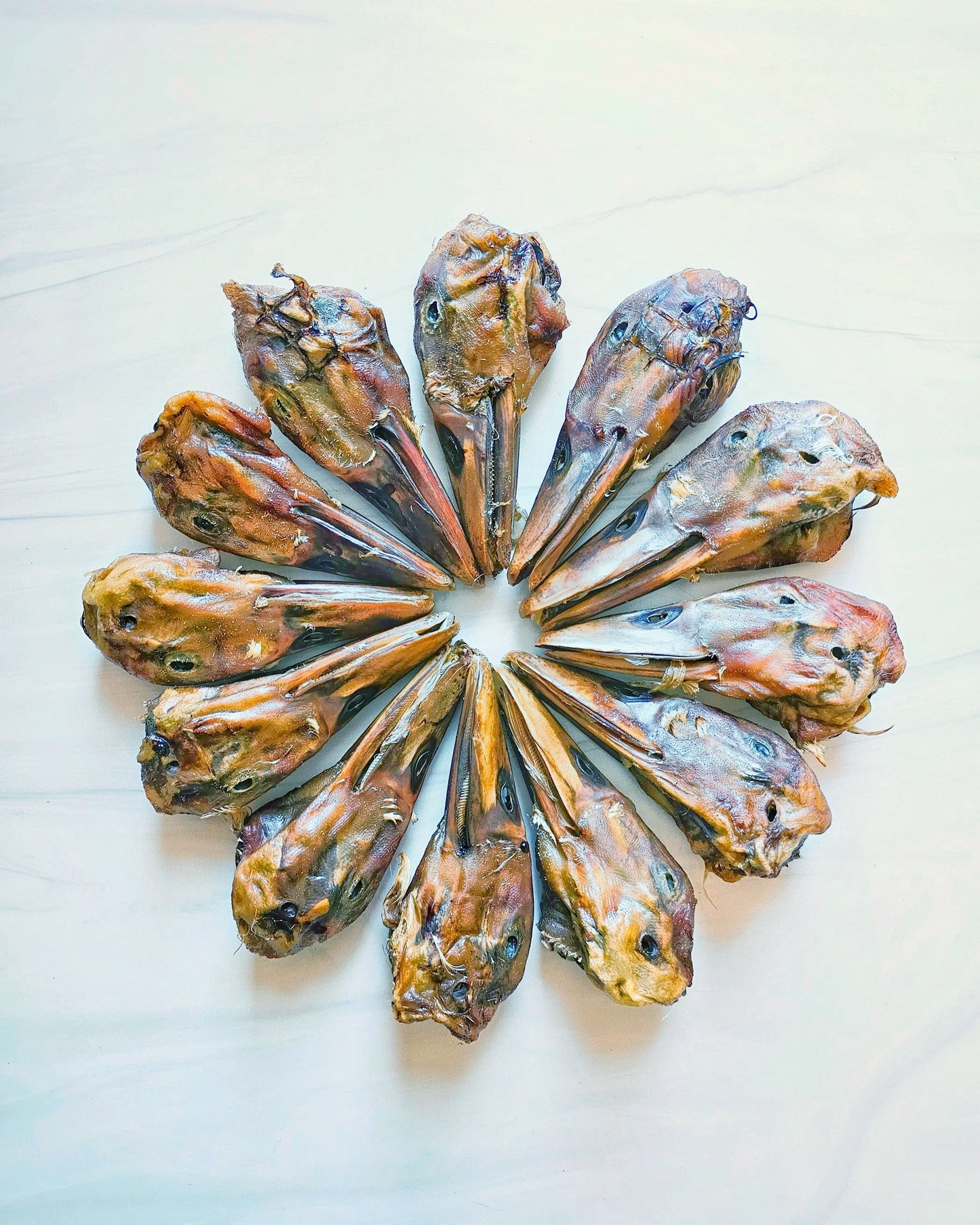 Duck Heads (ABF) 16-20oz Naked Beasts