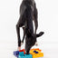 Pawzler Set - Genius Enrichment Product SwiftPaws