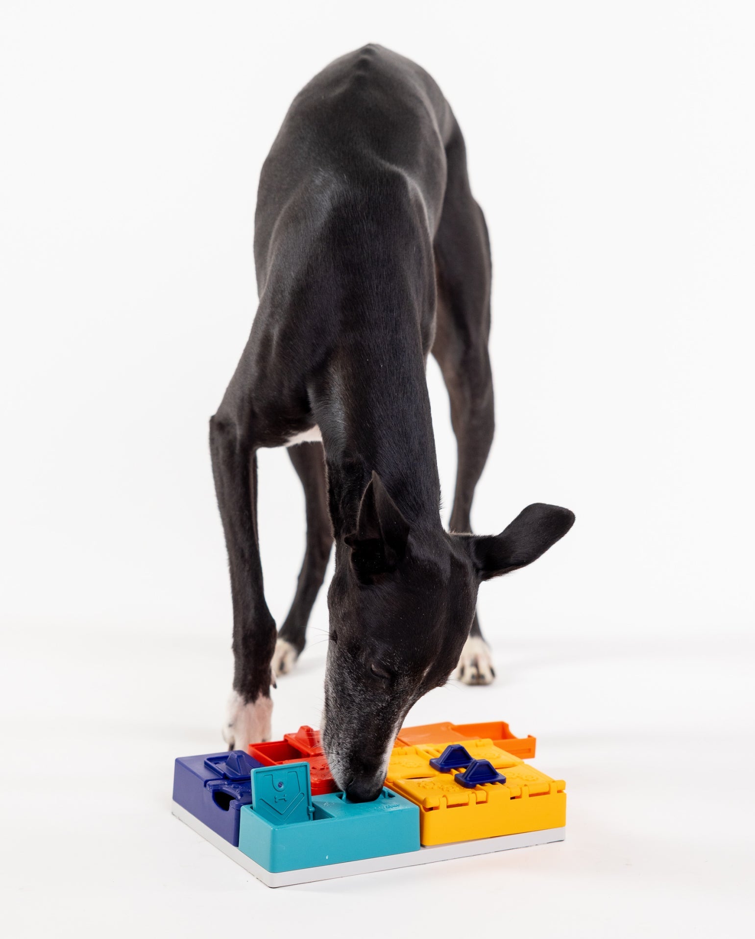 Pawzler Set - Genius Enrichment Product SwiftPaws