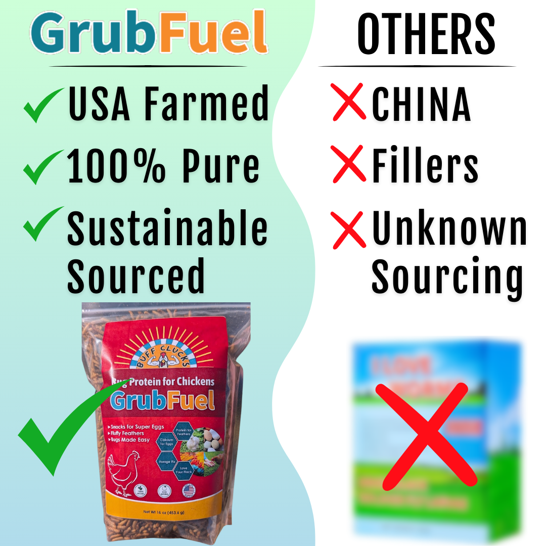 GrubFuel - Black Soldier Fly Larvae for chickens Buff Clucks