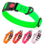Waterproof Dog Collar with Safety Lock Buckle Dog Collars Dogline