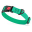 Waterproof Dog Collar with Safety Lock Buckle Teal Dog Collars Dogline